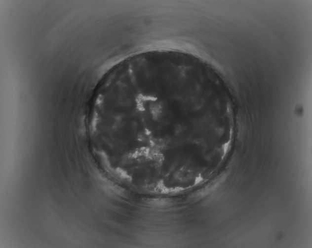 X0000090861497200708241847