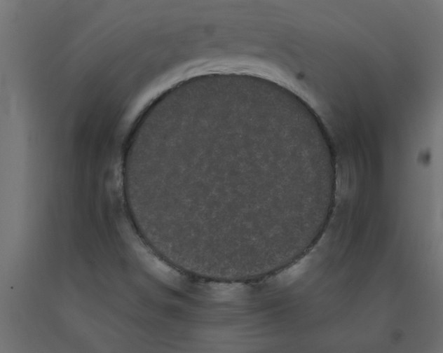 X0000090861498200708241847