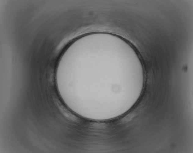 X0000090861499200708241847