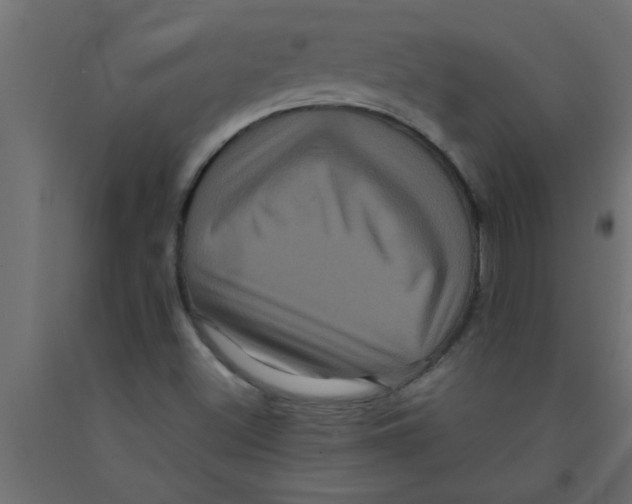 X0000090861500200708241847