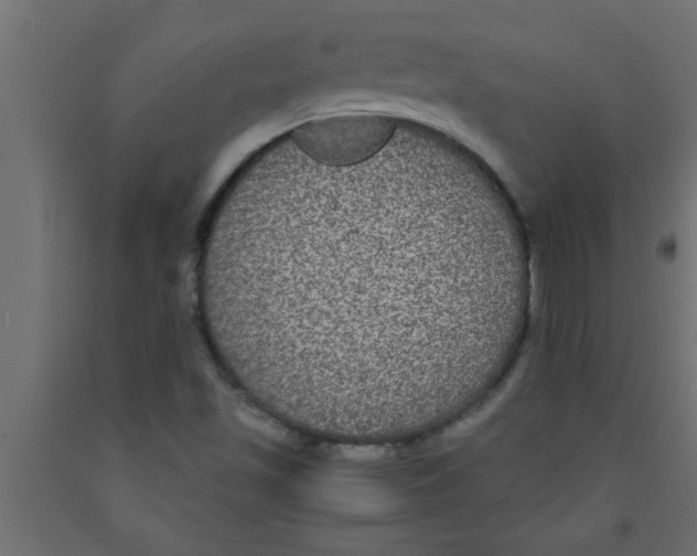 X0000090861501200708241847