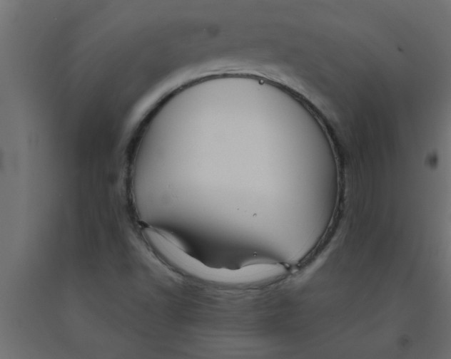 X0000090861502200708241847
