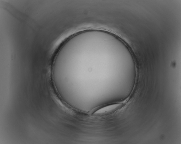 X0000090861503200708241847