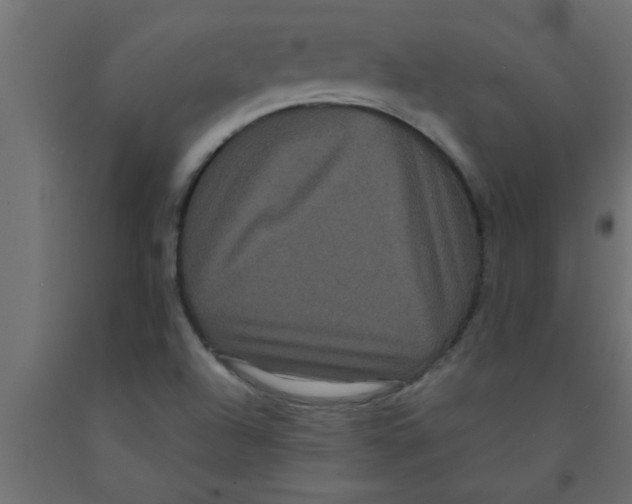 X0000090861504200708241847