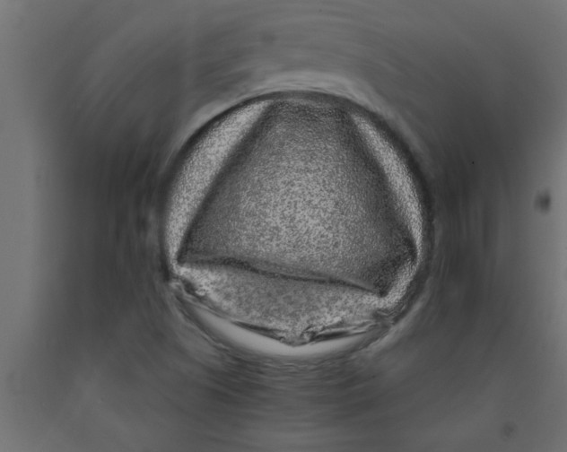X0000090861505200708241847