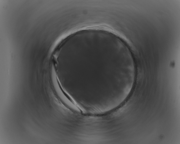 X0000090861506200708241847