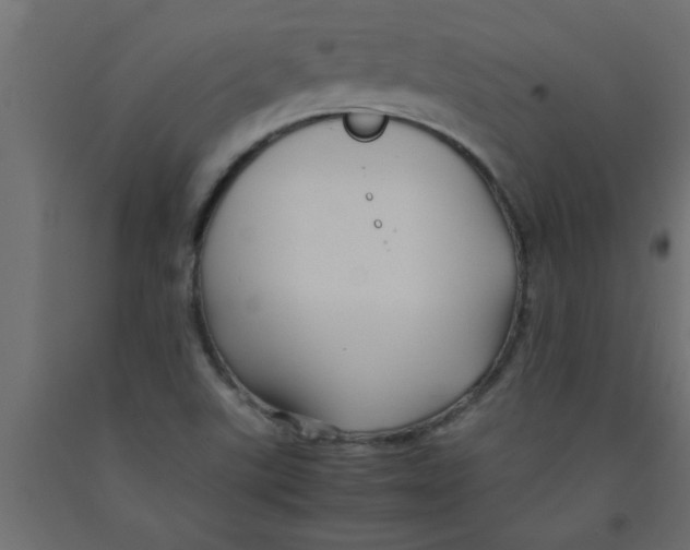 X0000090861507200708241847