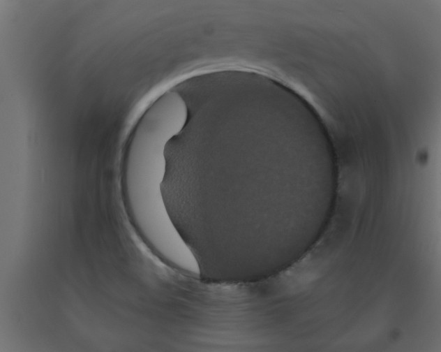 X0000090861508200708241847