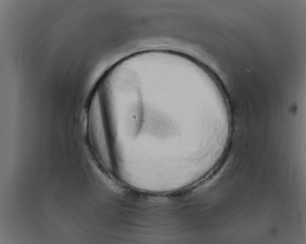 X0000090861509200708241847