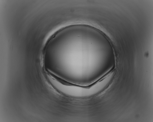 X0000090861510200708241847