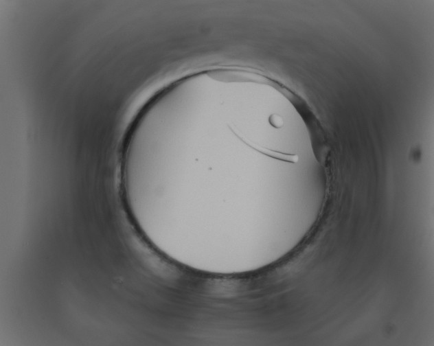X0000090861511200708241847
