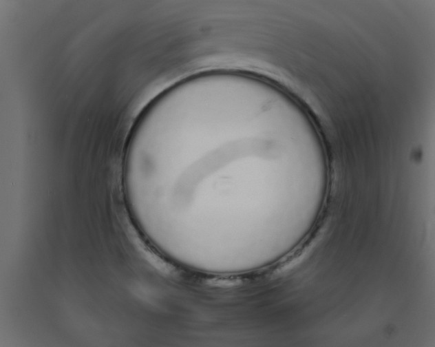X0000090861513200708241847