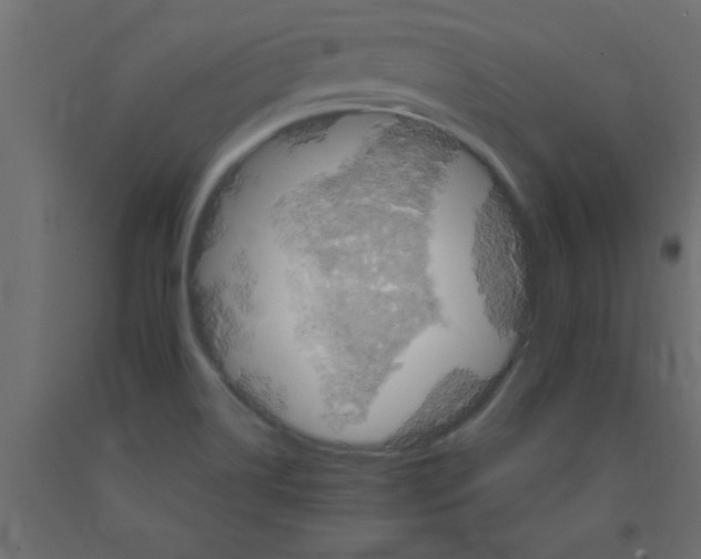 X0000090861514200708241847