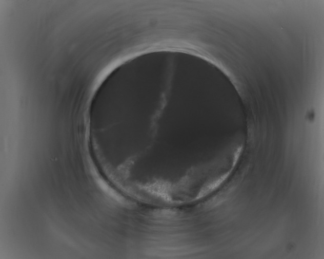 X0000090861515200708241847