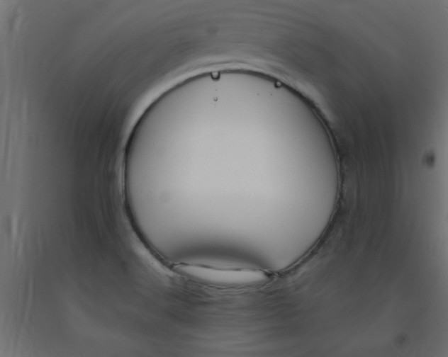 X0000090861516200708241847