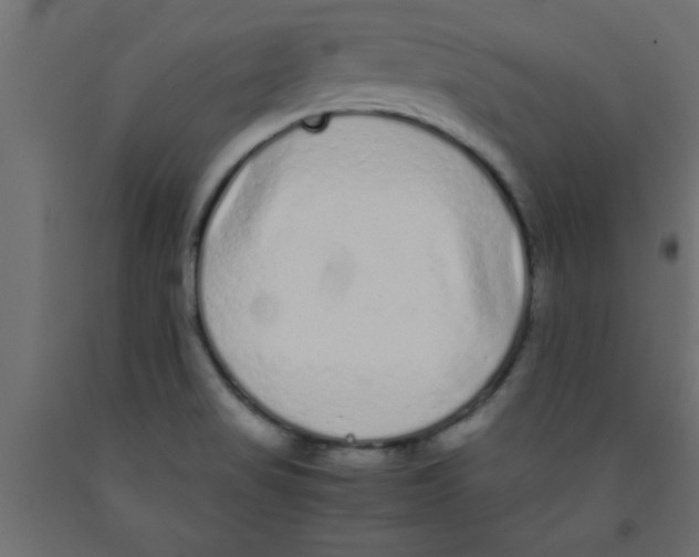 X0000090861517200708241847