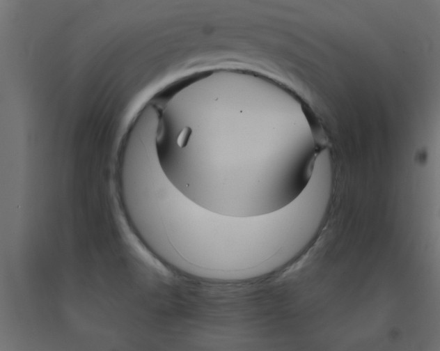 X0000090861518200708241847