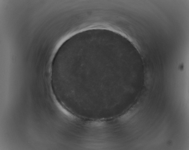 X0000090861519200708241847