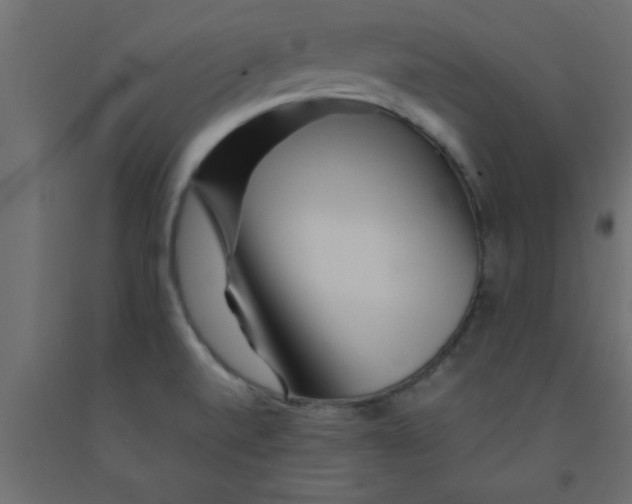 X0000090861520200708241847