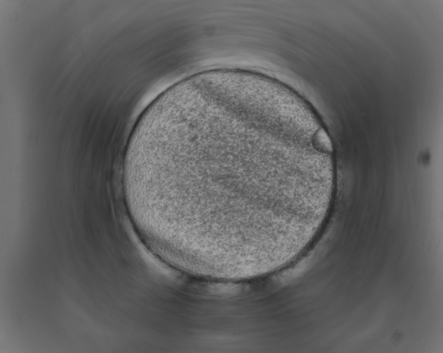 X0000090861521200708241847