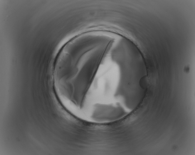 X0000090861522200708241847