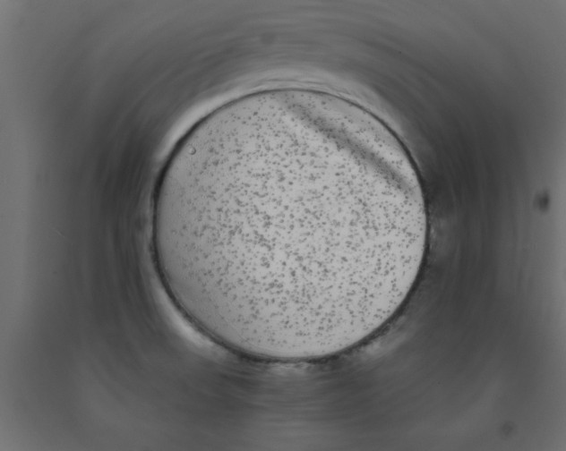 X0000090861523200708241847