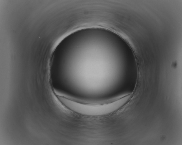 X0000090861524200708241847