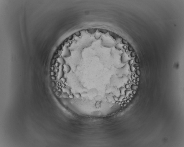 X0000090861525200708241848