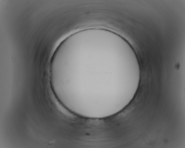 X0000090861526200708241848