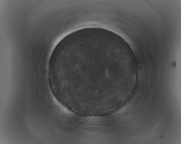 X0000090861527200708241848