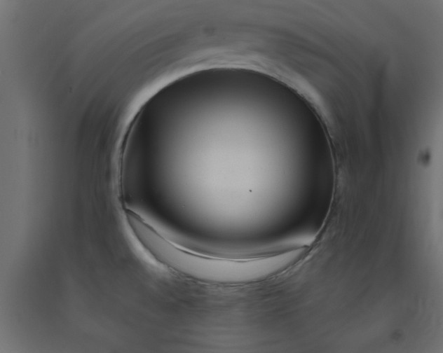 X0000090861528200708241848