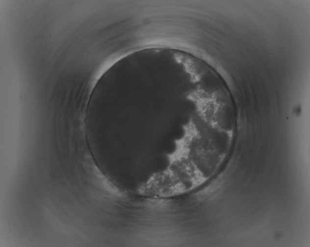 X0000090861529200708241848