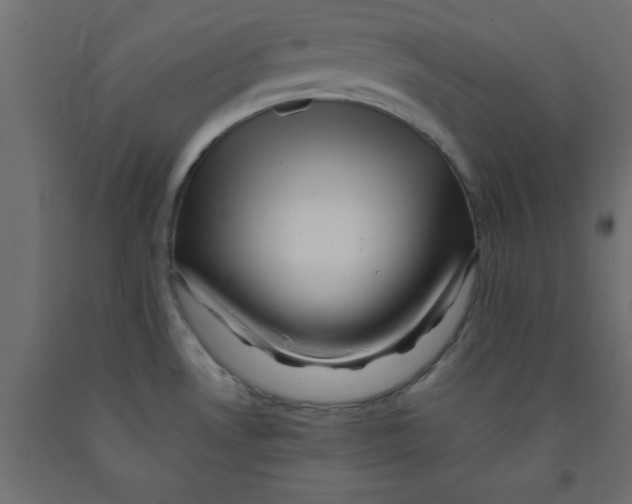 X0000090861530200708241848