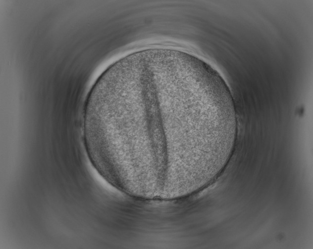 X0000090861531200708241848