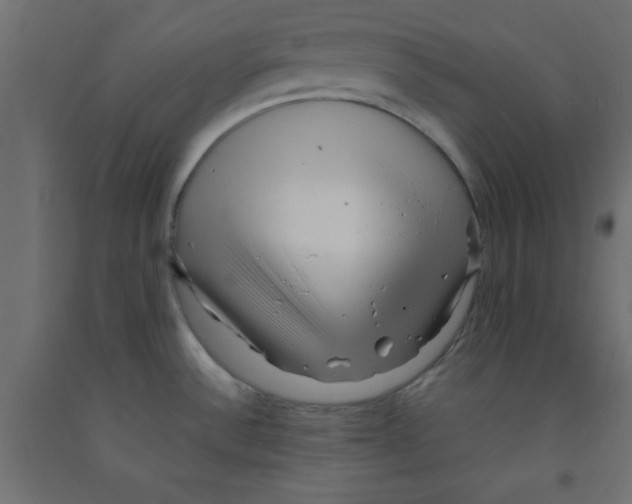 X0000090861532200708241848