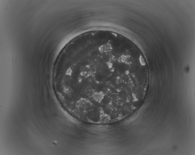 X0000090861533200708241848