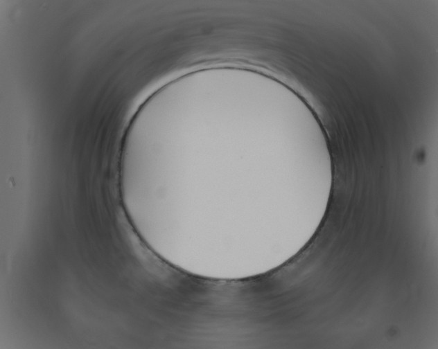 X0000090861534200708241848