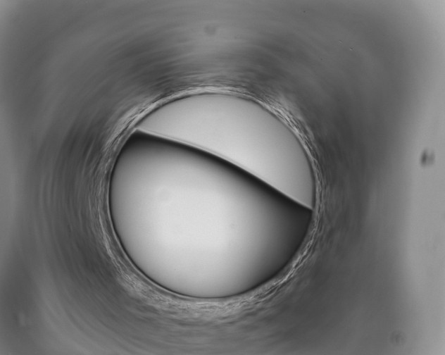 X0000090870001200707271005
