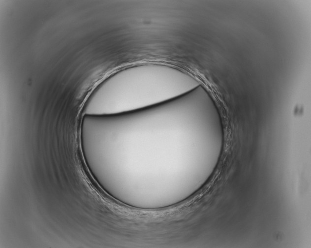 X0000090870002200707271004
