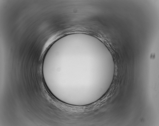 X0000090870004200707271004
