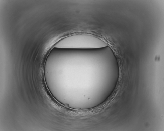 X0000090870005200707271004