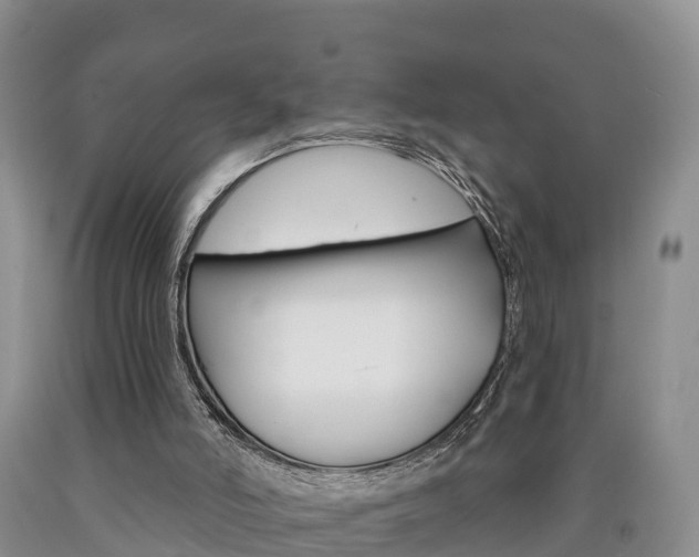 X0000090870006200707271004