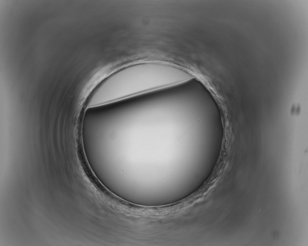 X0000090870007200707271004