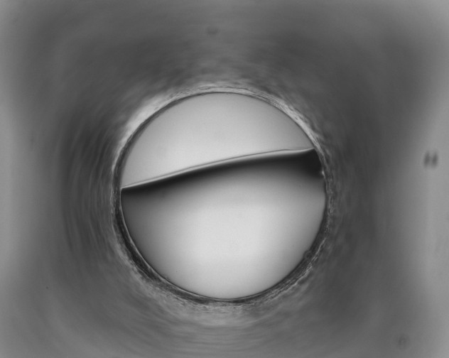 X0000090870008200707271004