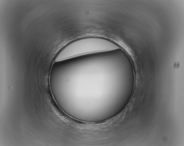 X0000090870009200707271004