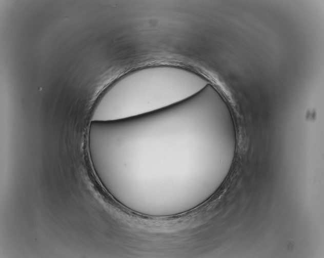 X0000090870010200707271004