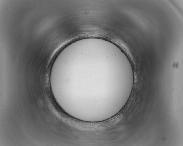 X0000090870012200707271004