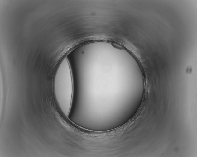 X0000090870013200707271004