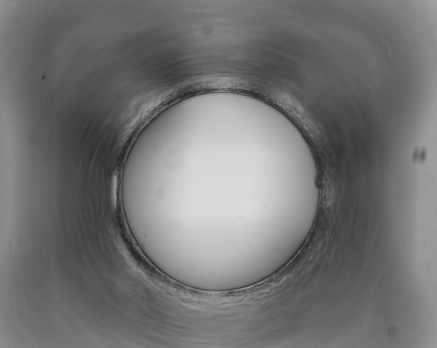 X0000090870014200707271004