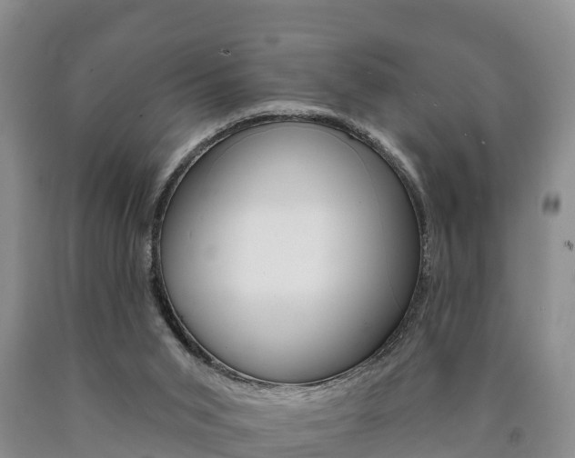 X0000090870015200707271004